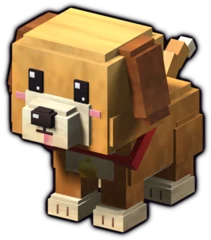 Puppy pet